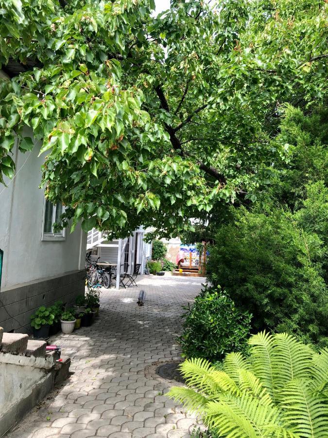 Family Guest House Çolpan Ata Dış mekan fotoğraf