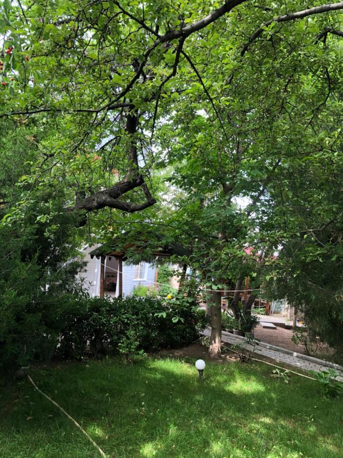 Family Guest House Çolpan Ata Dış mekan fotoğraf